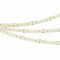 Лента светодиодная Arlight ULTRA 040248