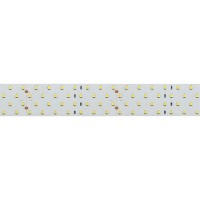 Лента светодиодная Arlight  019085(2)