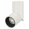 Светильник на штанге Arlight TWIST 024992(1)