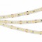 Лента светодиодная Arlight A168 24V 10mm 17 W/m 042324