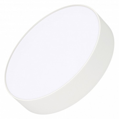 Накладной светильник Arlight RONDO 022233(2)